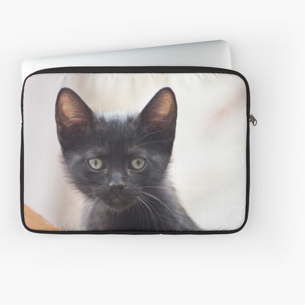 black kitten portrait Laptop Sleeve