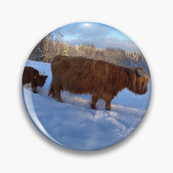 Item preview, Scottish Highland Cattle Cow and calf 4218 designed and sold by SaarelaHighland.