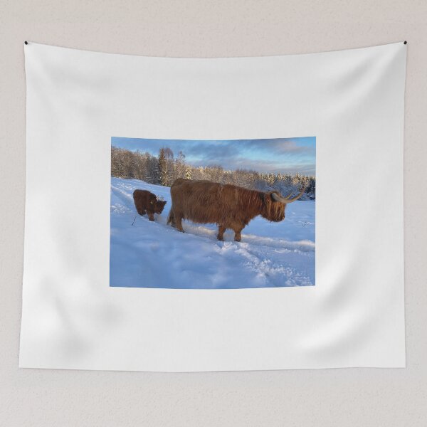 Item preview, Scottish Highland Cattle Cow and calf 4218 designed and sold by SaarelaHighland.