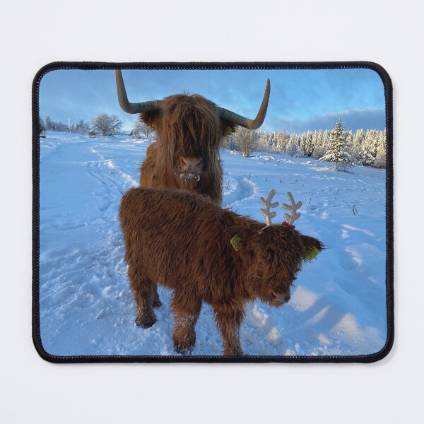 Item preview, Scottish Highland Cattle Cow and calf Christmas 4219 designed and sold by SaarelaHighland.