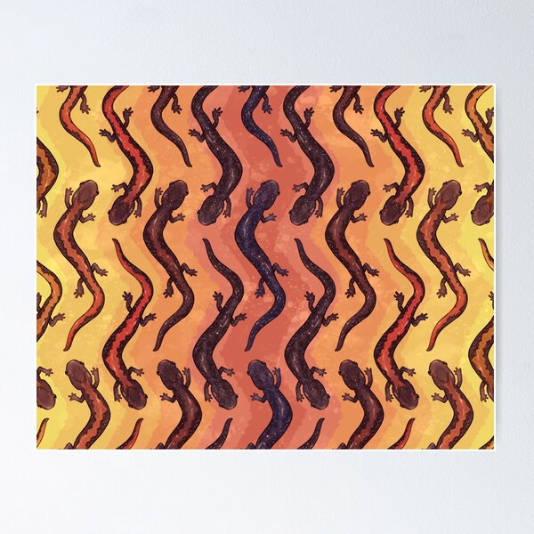 Item preview, Zigzag Salamanders designed and sold by ChameleocoonJ.