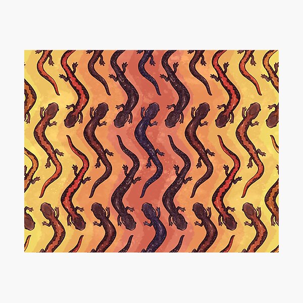 Item preview, Zigzag Salamanders designed and sold by ChameleocoonJ.