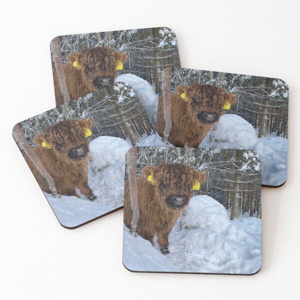 Item preview, Scottish Highland Cattle Calf 4221 designed and sold by SaarelaHighland.