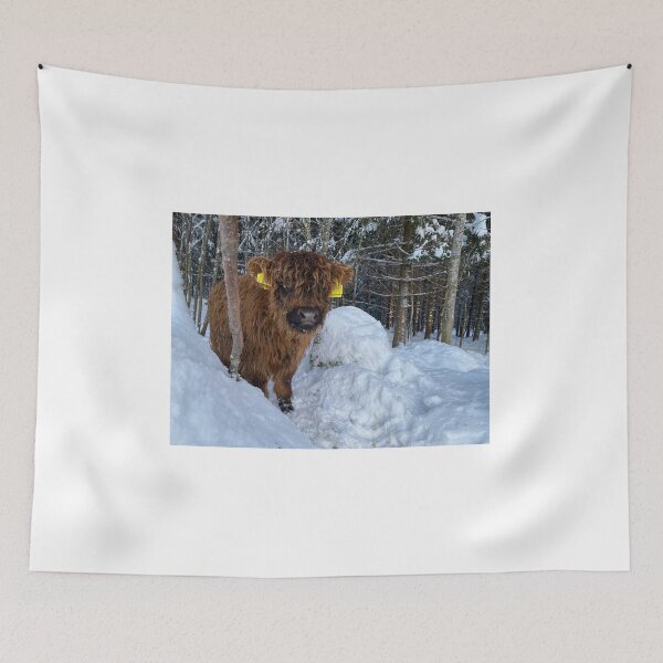 Item preview, Scottish Highland Cattle Calf 4221 designed and sold by SaarelaHighland.