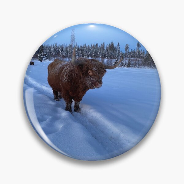 Item preview, Scottish Highland Cattle Bull 4222 designed and sold by SaarelaHighland.