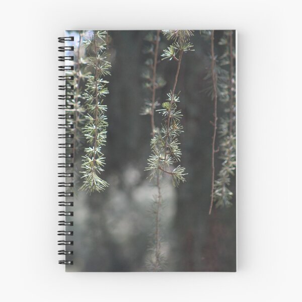 Item preview, Pine designed and sold by ryanmsorel.
