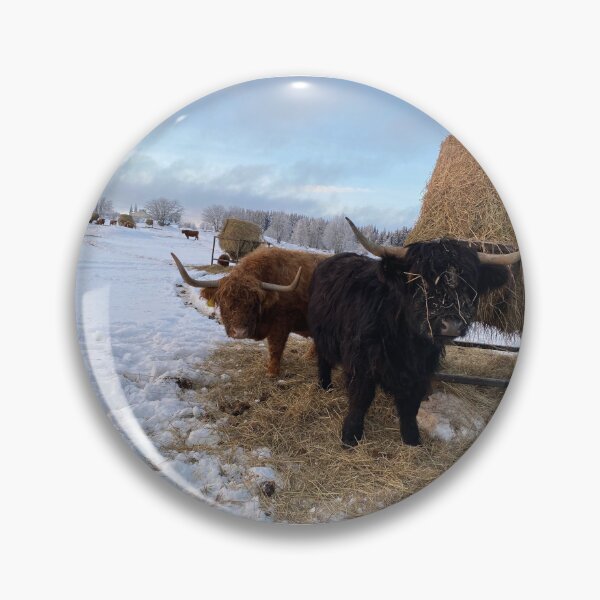 Item preview, Scottish Highland Cattle Cows 4225 designed and sold by SaarelaHighland.