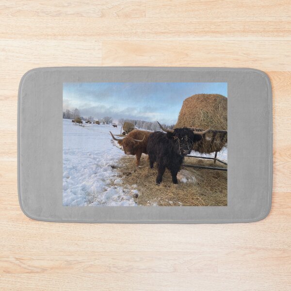 Item preview, Scottish Highland Cattle Cows 4225 designed and sold by SaarelaHighland.