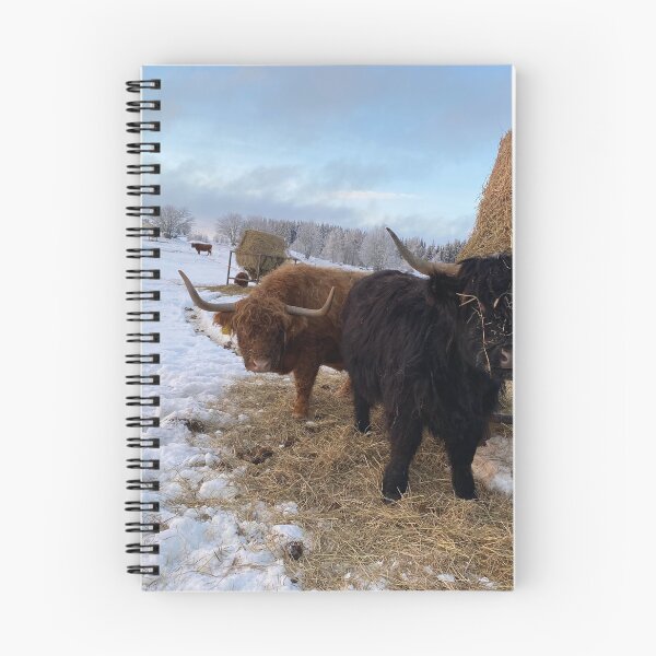 Item preview, Scottish Highland Cattle Cows 4225 designed and sold by SaarelaHighland.