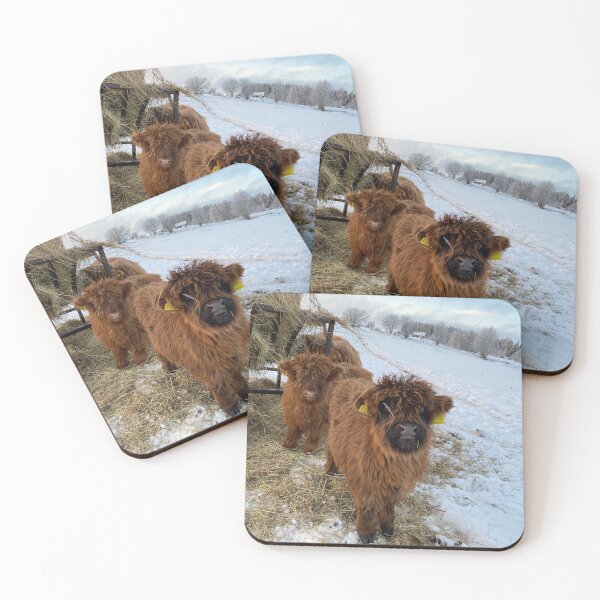Item preview, Scottish Highland Cattle Calves 4227 designed and sold by SaarelaHighland.