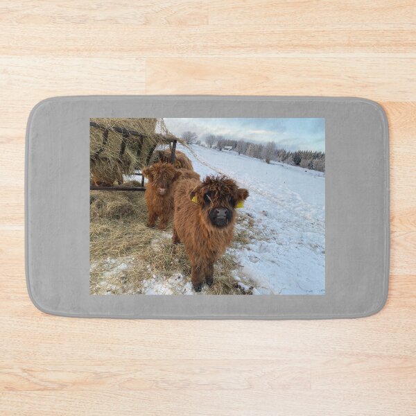 Item preview, Scottish Highland Cattle Calves 4227 designed and sold by SaarelaHighland.