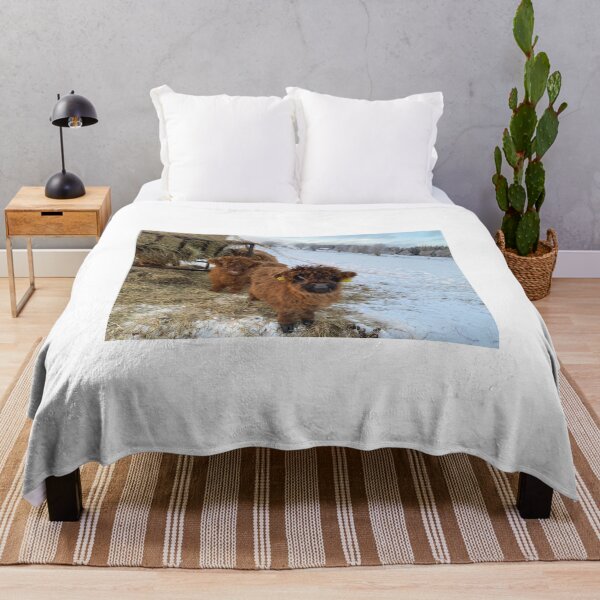 Item preview, Scottish Highland Cattle Calves 4227 designed and sold by SaarelaHighland.