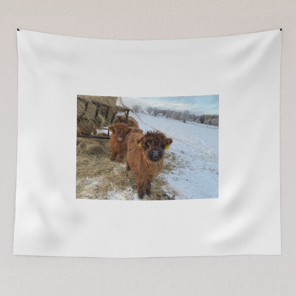 Item preview, Scottish Highland Cattle Calves 4227 designed and sold by SaarelaHighland.