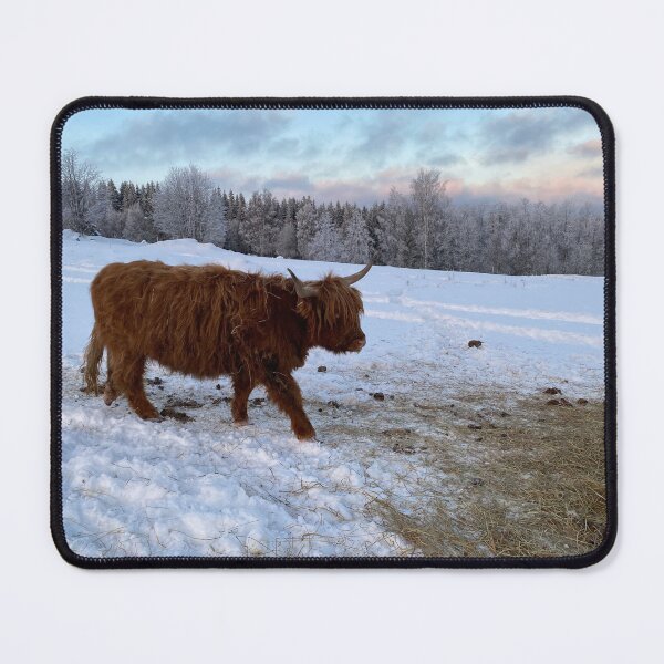 Item preview, Scottish Highland Cattle Cow 4229 designed and sold by SaarelaHighland.