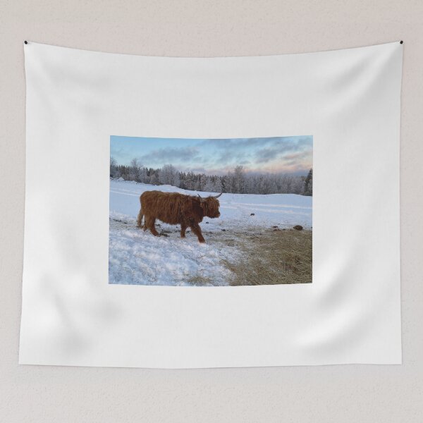 Item preview, Scottish Highland Cattle Cow 4229 designed and sold by SaarelaHighland.