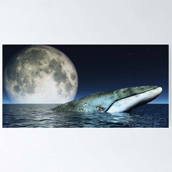 Item preview,   Panoramic,widescreen prints, Tapestries,Tapestry,throw blanket,whale wall art,whale art, ocean, sea, blue, fish,whale  designed and sold by eyesight4vision.