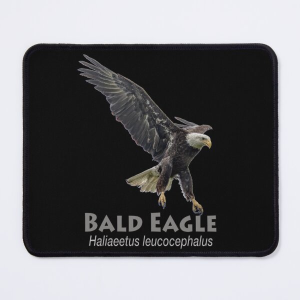 Item preview, Bald eagle designed and sold by The Sleepy Monito.