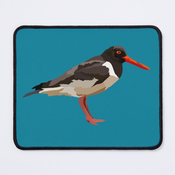 Item preview, O is for Oyster Catcher , Oystercatcher Illustration – Striking Shorebird Wildlife Art designed and sold by PrettylittlepastelUk.