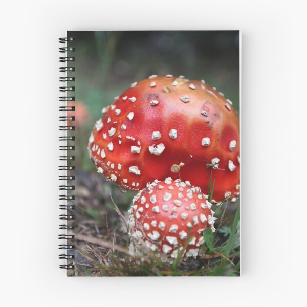 Item preview, red deadly amanita mushroom in the forest designed and sold by orgal2.