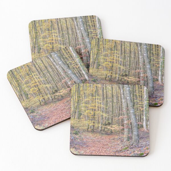 Item preview, Enchanted Forest, La Fageda d'en Jordà, Catalonia, Spain designed and sold by Marc Garrido Clotet.