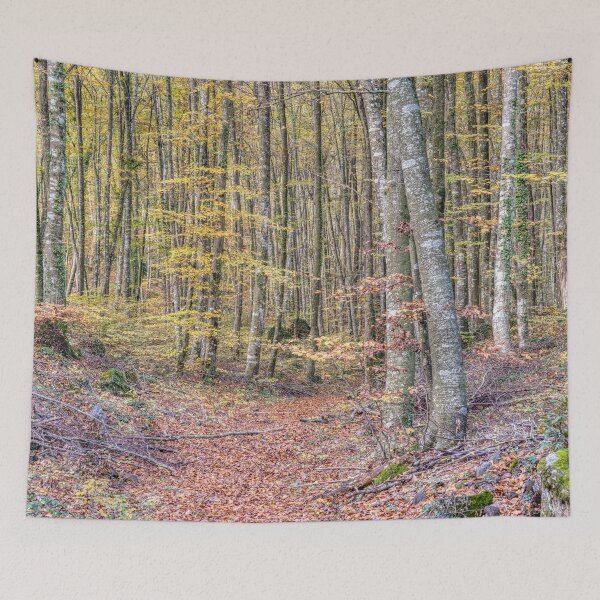 Item preview, Enchanted Forest, La Fageda d'en Jordà, Catalonia, Spain designed and sold by Marc Garrido Clotet.