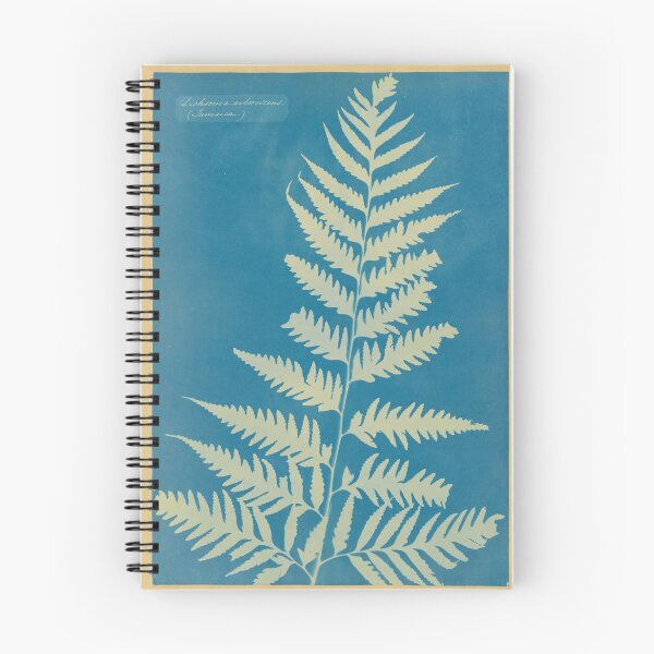 Item preview, Tree Fern Cyanotype by Anna Atkins, 1850 designed and sold by Vintage Wall Art.
