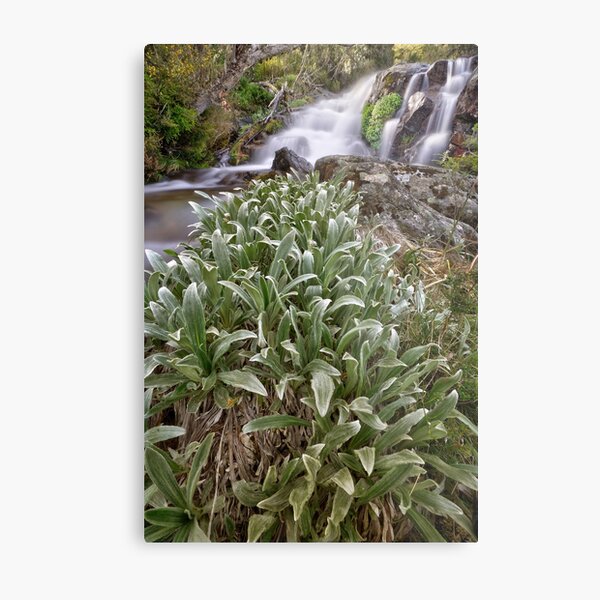 Item preview, Hollond's Creek designed and sold by Kevin McGennan.