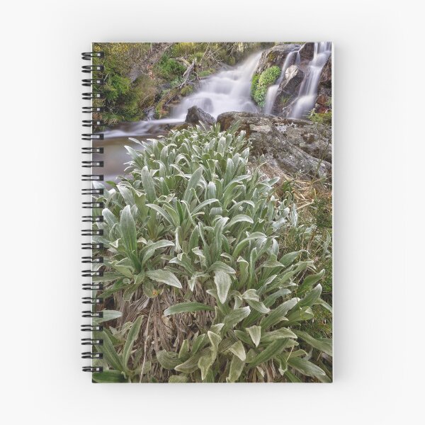 Item preview, Hollond's Creek designed and sold by Kevin McGennan.