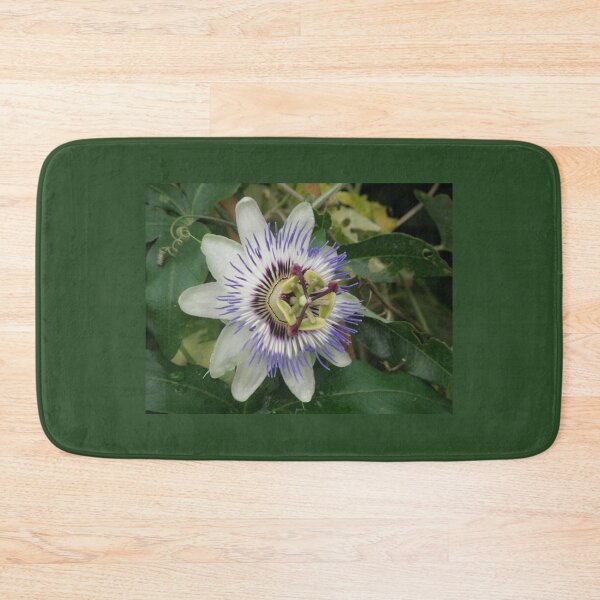 Item preview, Beautiful Passionflower Photograph designed and sold by naturegallery.