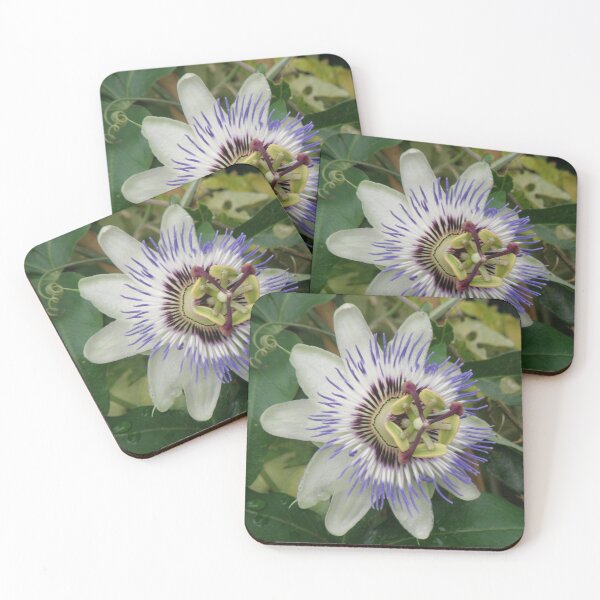Item preview, Beautiful Passionflower Photograph designed and sold by naturegallery.