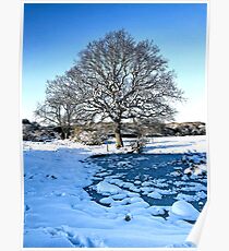 Snow Scene Poster
