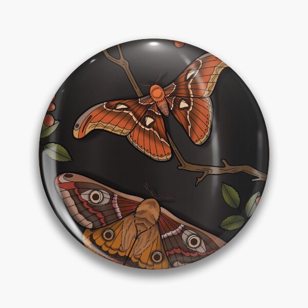Item preview, Antique Framed Moths Illustration designed and sold by InkyBPrints.