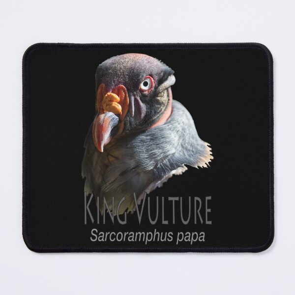 Item preview, King vulture designed and sold by The Sleepy Monito.