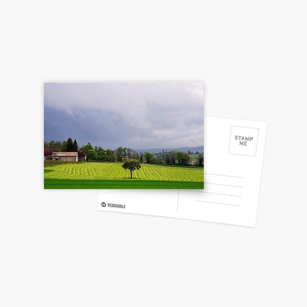 Item preview, Postcard designed and sold by patmo.