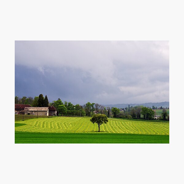 Photographic Print