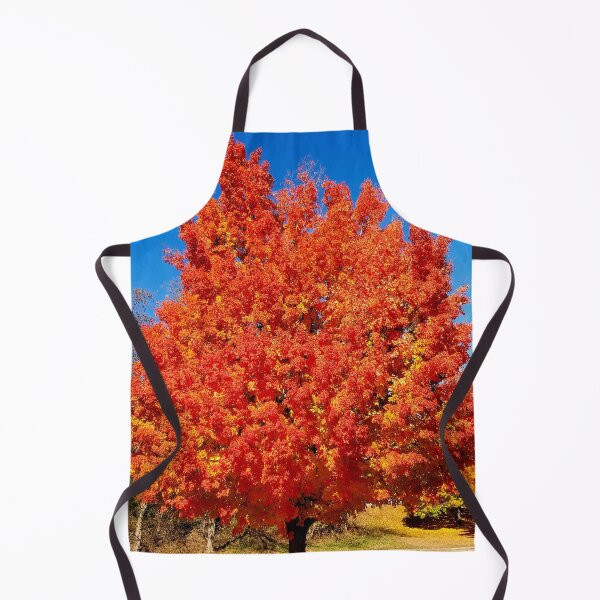 Item preview, Multicolor Autumn Tree designed and sold by bjtomiko.