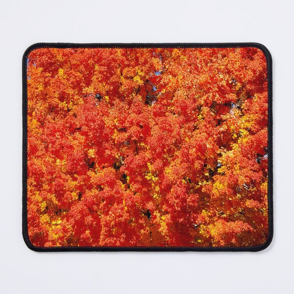 Item preview, Multicolor Autumn Tree designed and sold by bjtomiko.