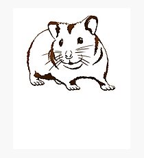 Hamster Photographic Print