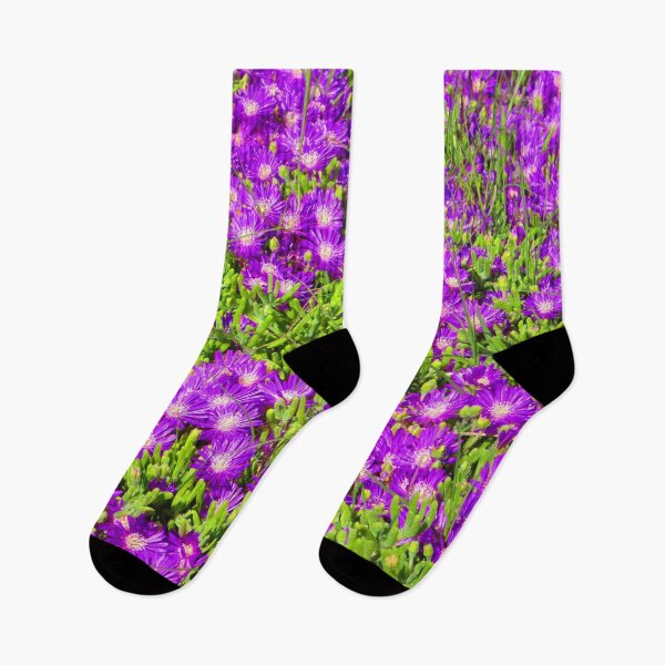 Item preview, FLORA #34 - Bright Purple Ice Plant Blooming designed and sold by DEL-Productions.