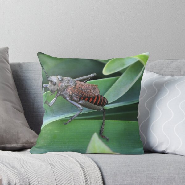 Item preview, Oh grasshopper designed and sold by Martina Nicolls.
