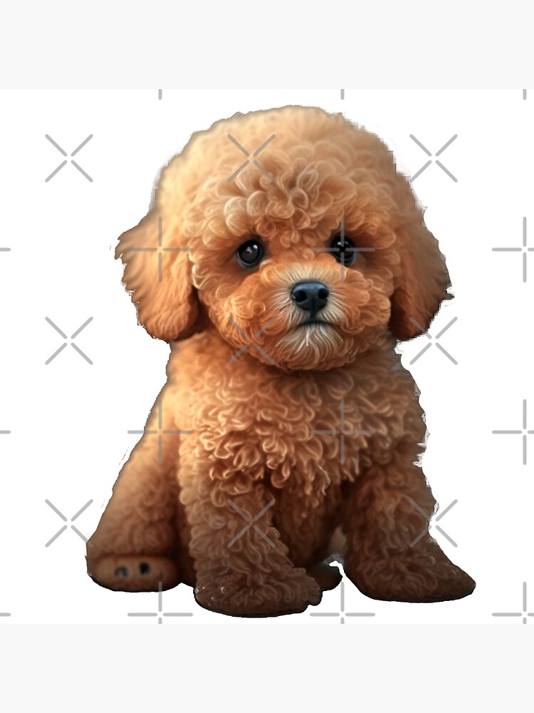 Poodle Mini Toy