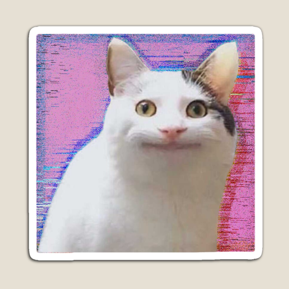 4+ Thousand Cat Meme Royalty-Free Images, Stock Photos & Pictures