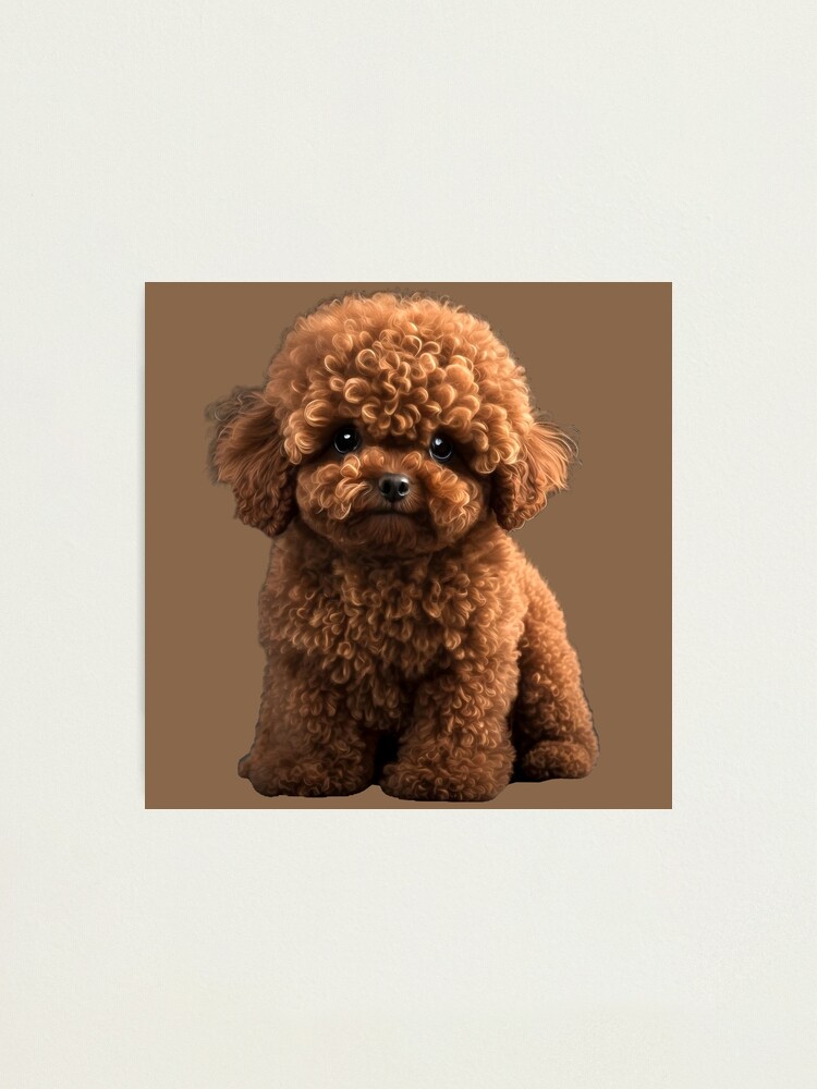 Fuzzy Puppy Toy Poodle