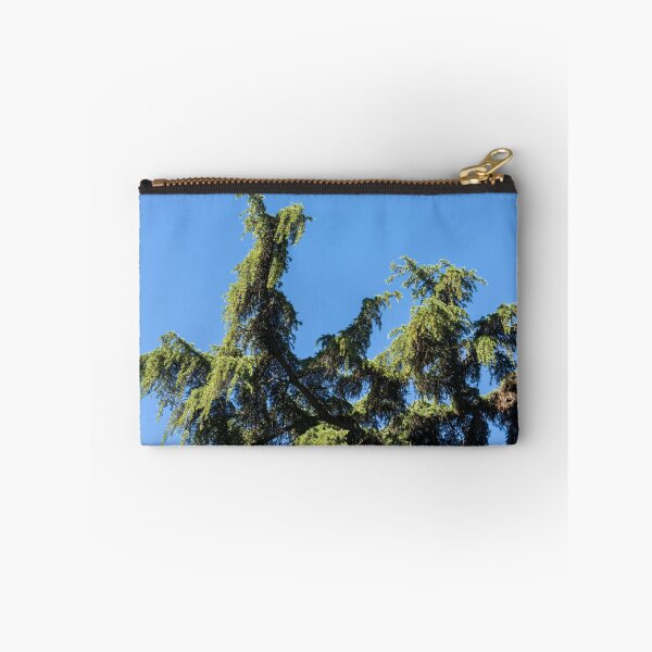Item preview, Lacy Cypress Branches and a Parrots Nest designed and sold by Georgia Mizuleva.