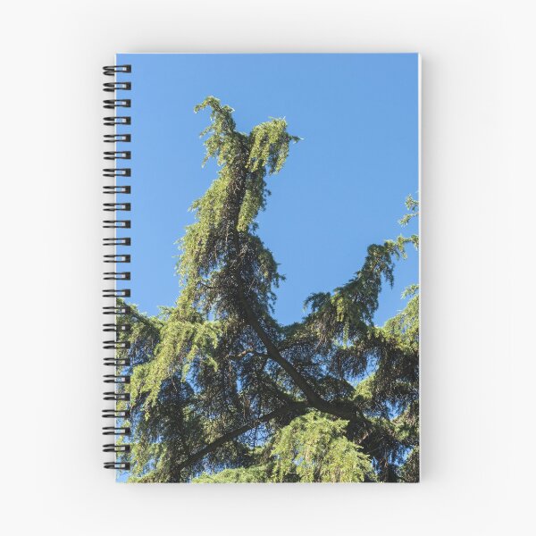 Item preview, Lacy Cypress Branches and a Parrots Nest designed and sold by Georgia Mizuleva.