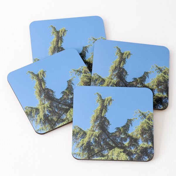 Item preview, Lacy Cypress Branches and a Parrots Nest designed and sold by Georgia Mizuleva.