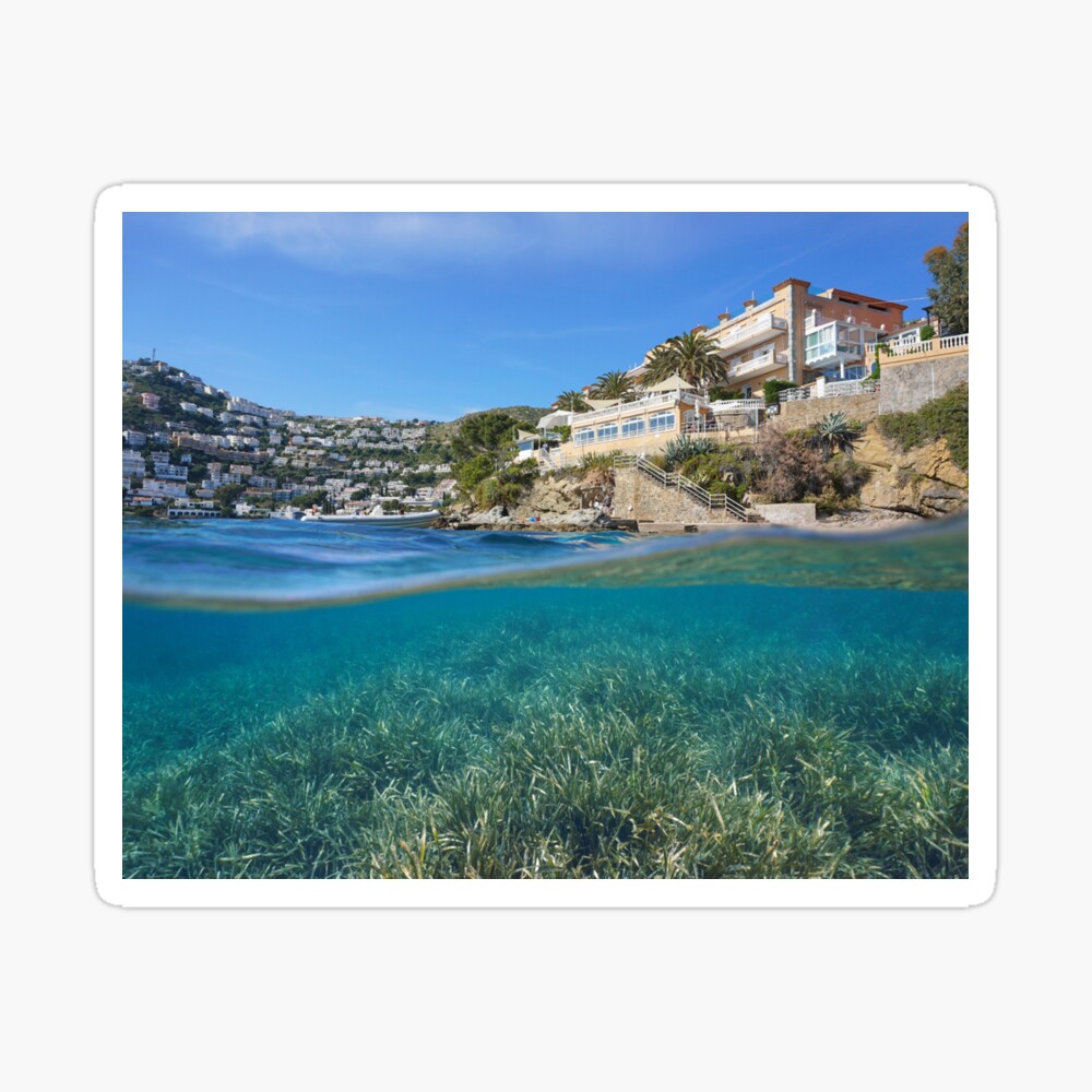 Mediterranean sea split view seagrass underwater Stock Photo by