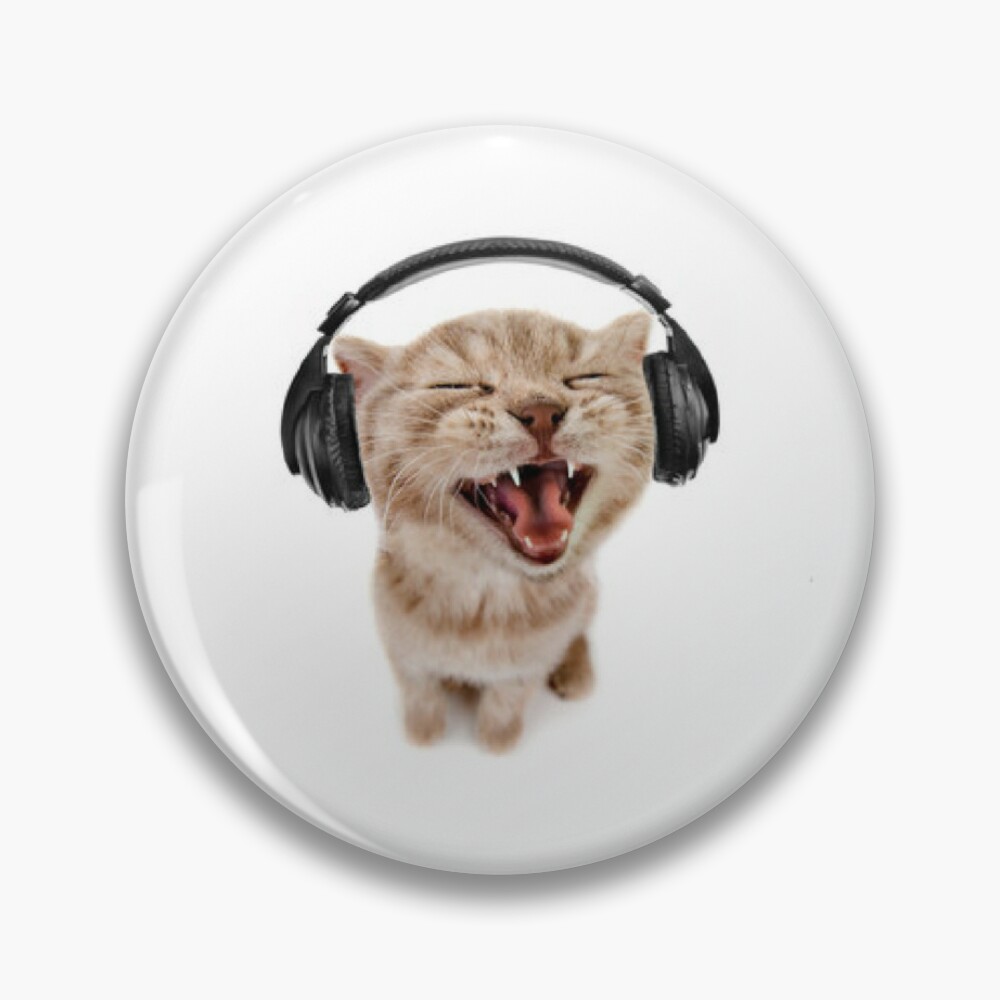 Cat wearing headphones