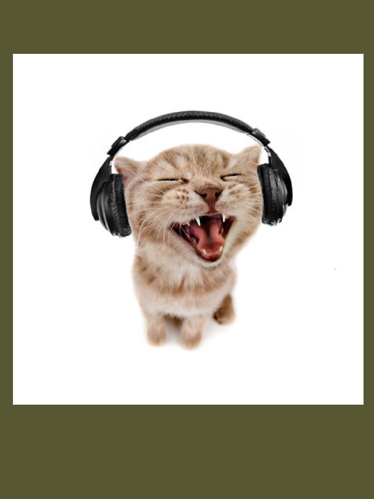 Cat wearing headphones