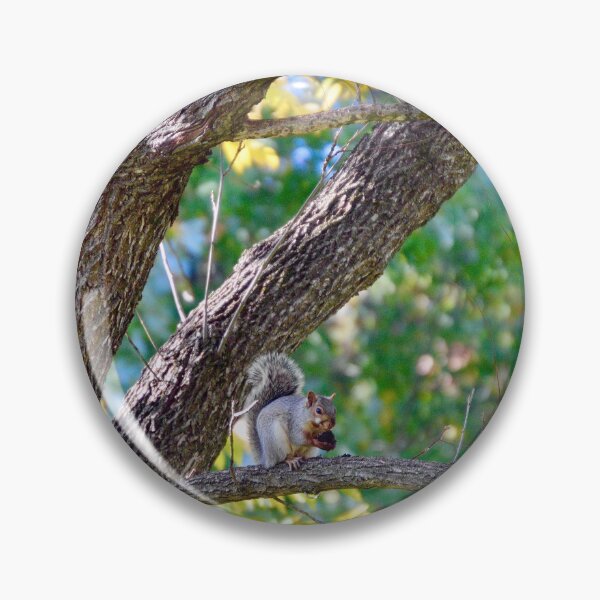 Item preview, Snacking designed and sold by Tessia Photography.